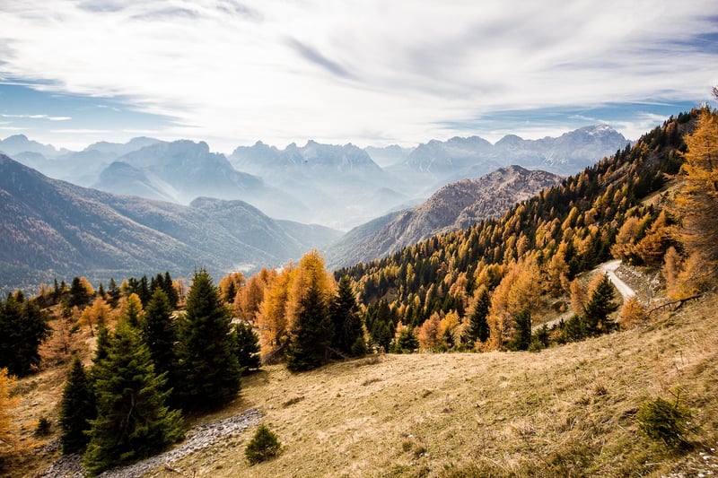 Nature Photography